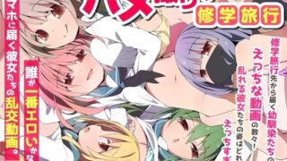 ハメ撮り修学旅〜スマホに届く彼女たちの乱交動画。誰が一番エロいかな？〜【NCP】
