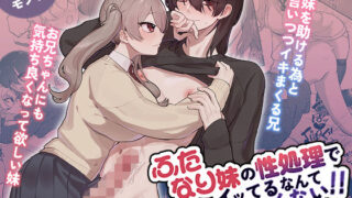 ふたなり妹の性処理でイッてるなんてバレたくない！！【カツ丼うまうま本舗】