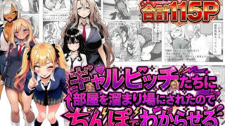 ギャルビッチたちに部屋を溜まり場にされたのでちんぽでわからせる【夢見狐】