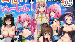 異世界転生ハーレム！チートスキルでTo LOVEるヒロインを俺の肉便器に！【エロエロ研究会】