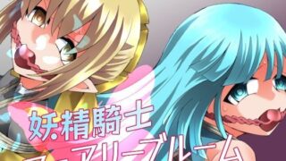 妖精騎士フェアリーブルーム第11話【夢かき屋】