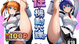 性・起動六課  〜常識改変その2なの！〜【ぴんぴん丸】