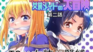 TS騎士と女装メイドの大冒険第2話【夢かき屋】