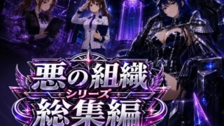 悪の組織シリーズ総集編【AfterImage】