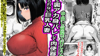 SNS裏アカ身バレして肉便器から逃げられない巨乳人妻【ピエトロ】