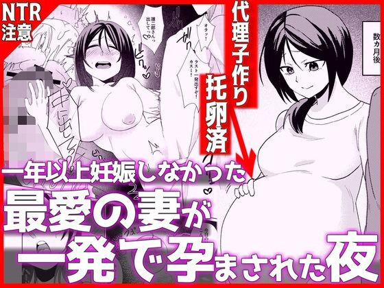 1年以上妊娠しなかった最愛の妻が一発で孕まされた夜【音鳥心愛】