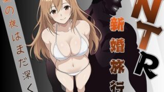 NTR新婚旅行〜夏の夜はまだ深く…〜【パイオハサーム】