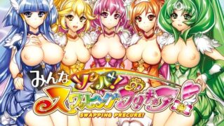 みんなソクハメ！スワッピングプリキュア！【かしわ屋】